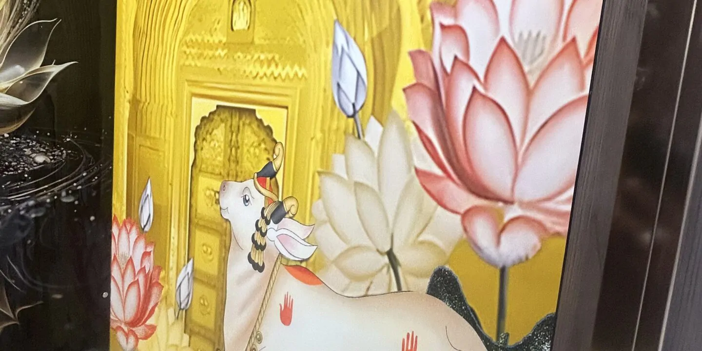 Interior Design In Kokapet 96 IMG_9535